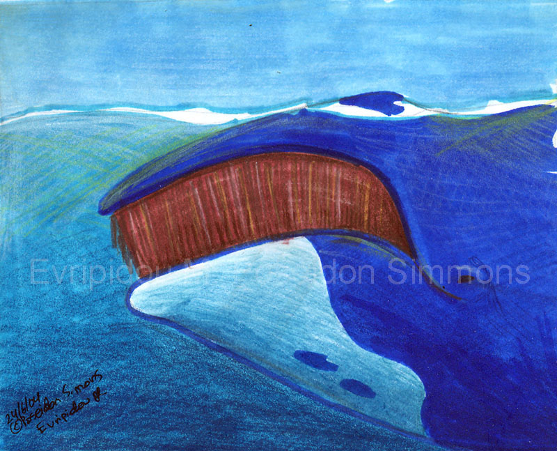 bowhead whale 536