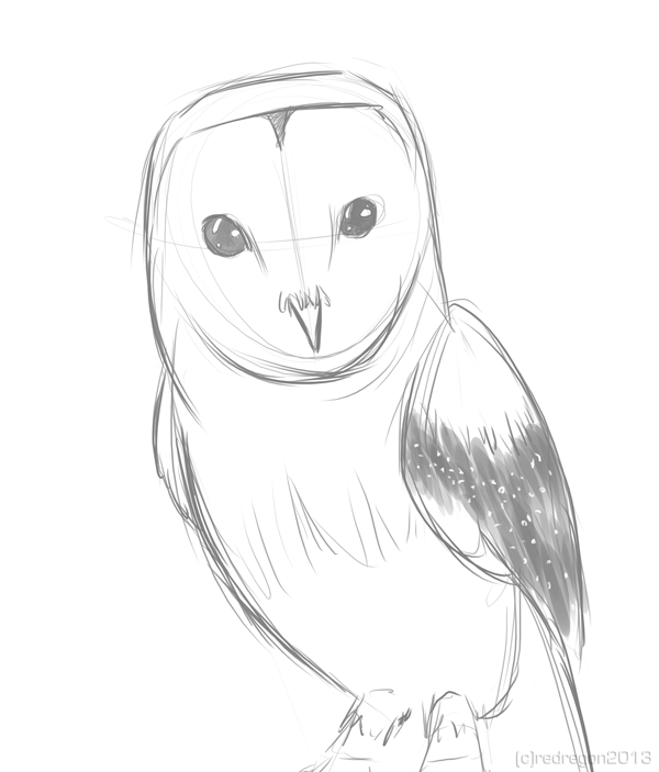Sketch - Owl