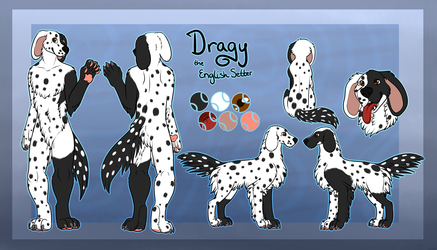 Dragynus Reference