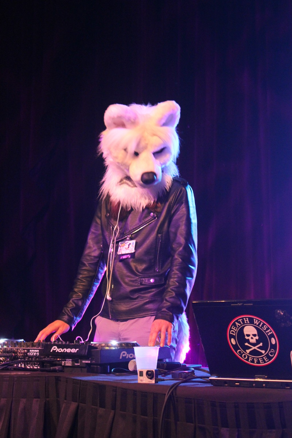 Texas Furry Fiesta 2016 - Sebris' DJ performance