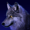 avatar of Alpha-Wolf-Shadow_24