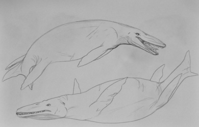 Two Great Lepidosaurids