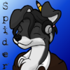 Avatar for Spiderfoxtail
