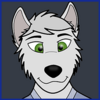 avatar of Bob Gray Wolf