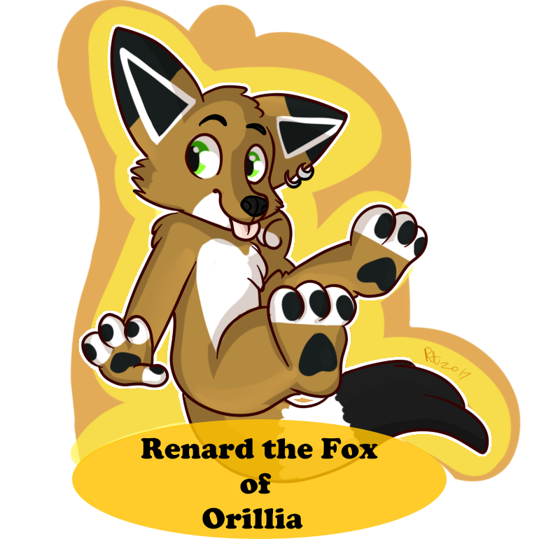 Renard the fox of Orillia-c