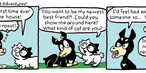 Savannah Cat comic #9