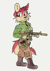 Mercenary Fox