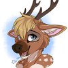 avatar of deer-spangle