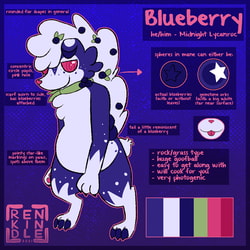 Blueberry Reference Sheet