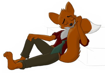 Fox likes his tail