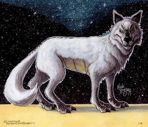The White Loth-wolf