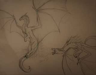 Dragons fighting