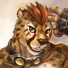 avatar of Cheetahpaws