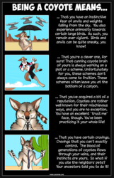 Being a Coyote Means...