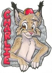 Charlie Badge (MFF 2014)