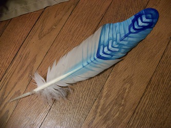 roc's feather