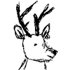 avatar of hjortskygge