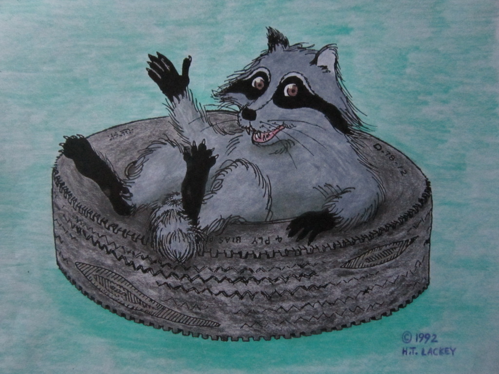 Raccoon in a Tire