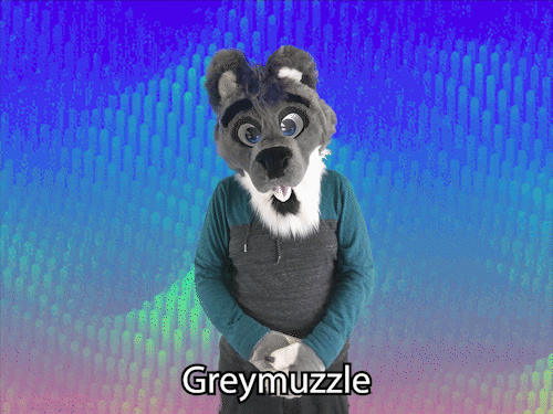"Greymuzzle" ASL gif