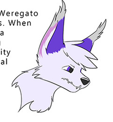 Reference: WereGato Reference (SFW)