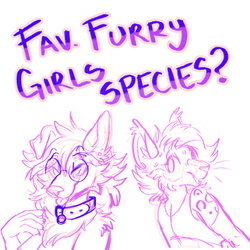 Fav furry girl species