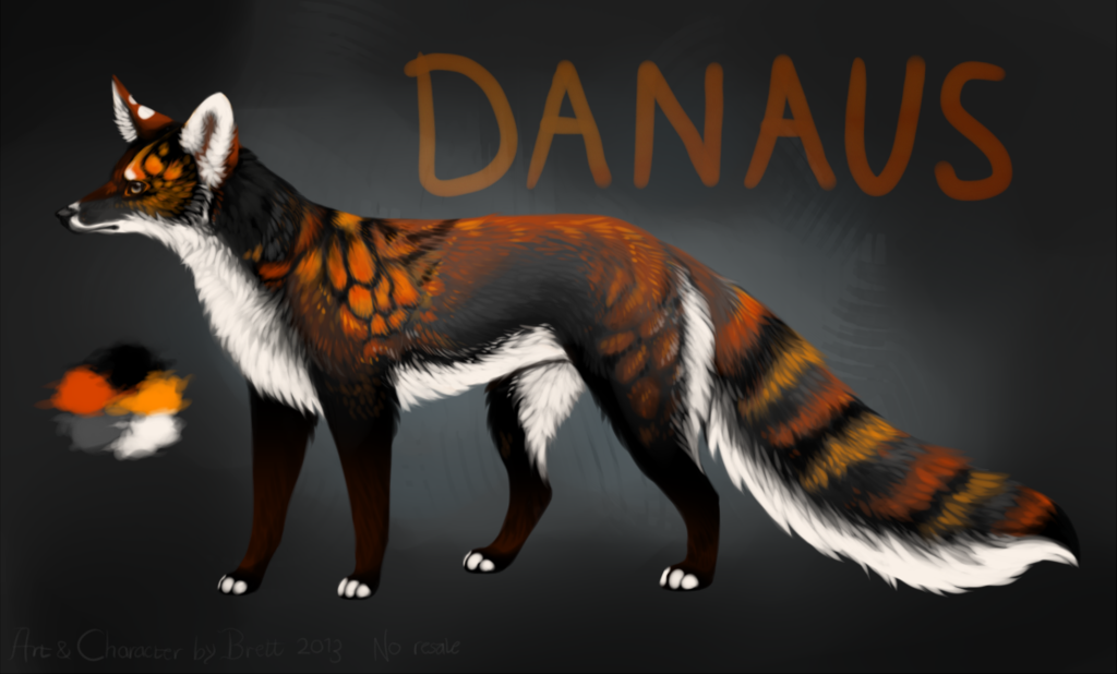 Most recent image: Danaus