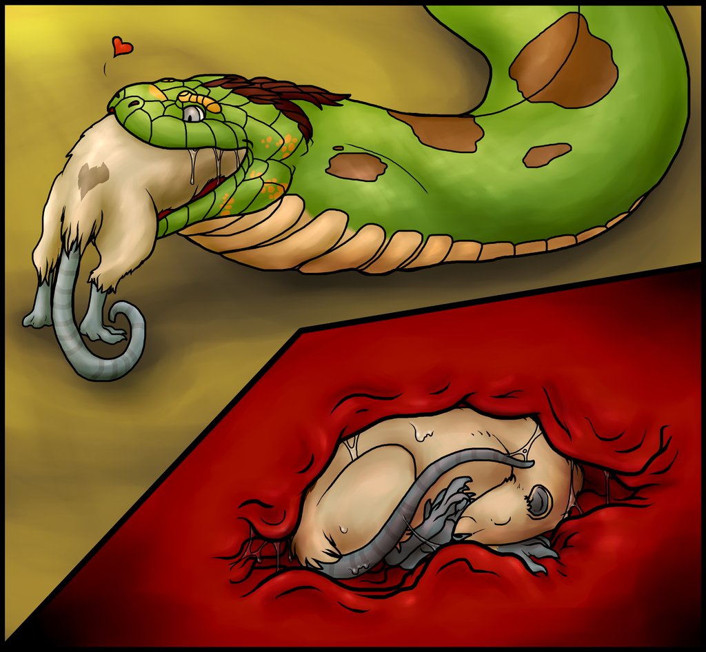 The Rat's Nest (ENDO Illustration)