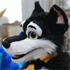 avatar of Wolfbird