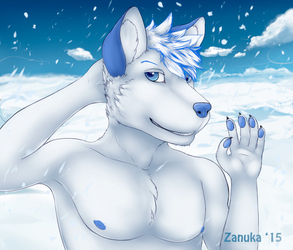 Arctic wolf Zan