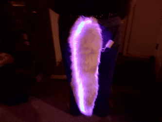 New rainbow LED tail