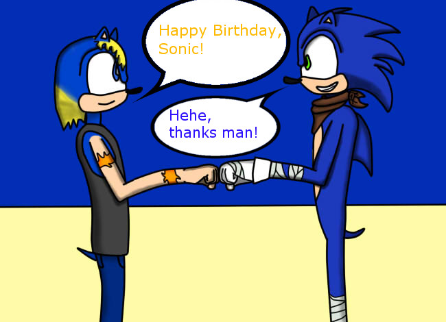 Happy 23rd Birthday, Sonic!
