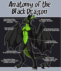 Anatomy of the Black Dragon