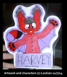 Harvey The Squirrel bust kigu promarker badge