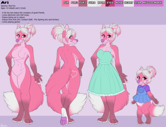 Ari Reference Sheet - Commission