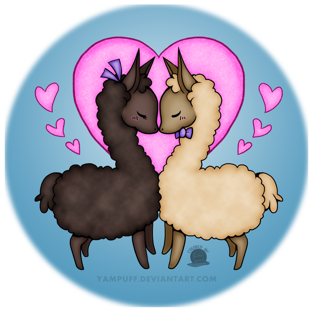 Llama Love