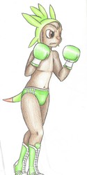 The Little Chespin Fighter
