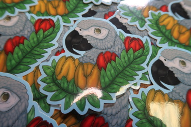 African Grey Floral Stickers up on etsy