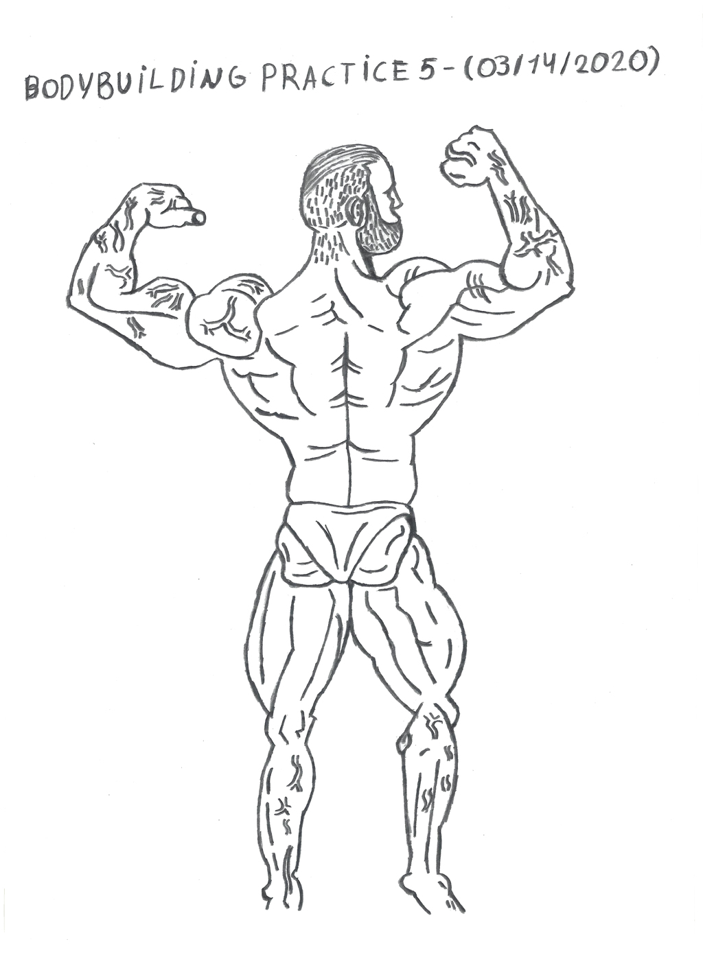 Bodybuilding - Anatomy Practice 5