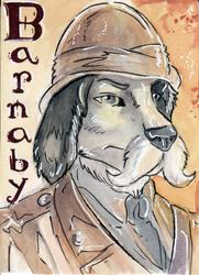 Safari Barnaby Badge by Red Coat Cat