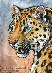 Amur Leopard Miniture Painting