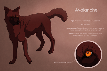Avalanche reference sheet