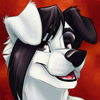 avatar of Ajcwolf