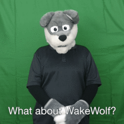 "What about WakeWolf?" ASL Gif