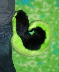 Husky tail