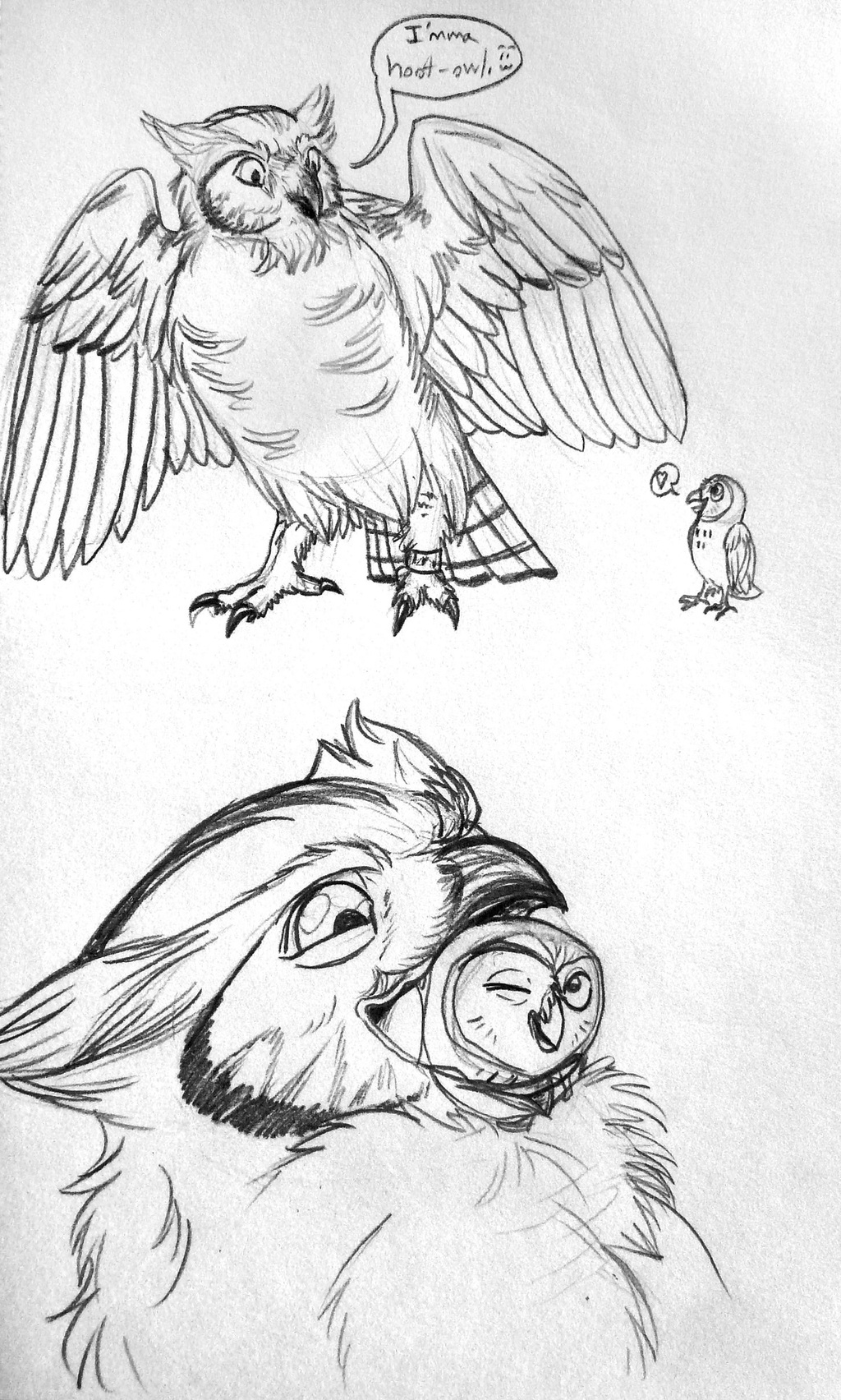 Russian Nesting Owls X3