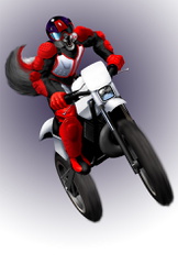 [Commission] Fuzzwolf: Motocross