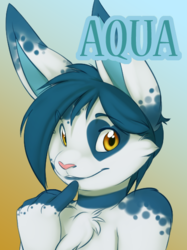 Aqua Badge