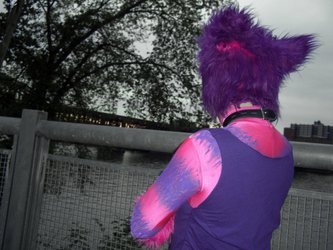 Cheshire Cat by the river at AC 2012