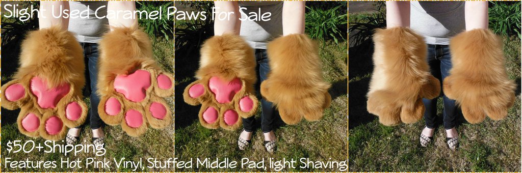 [PM]Caramel Paws for Sale! Slight Use
