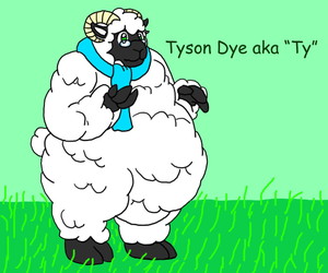 Ty The Sheep (collab with Puca Puca)